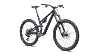 Specialized Stumpjumper 15 EVO Expert - SRAM GX AXS, FOX Performance Elite - Gloss Nebula Metallic / Dolomite Metallic