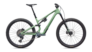 Specialized Stumpjumper 15 EVO Expert - SRAM GX AXS, FOX Performance Elite - Gloss Pistachio / Dark Moss Green