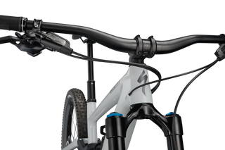 Specialized Enduro Expert - Gloss Dove Grey/ Smoke