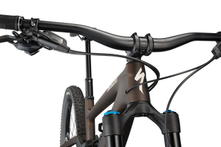Specialized Enduro Expert - Satin Doppio/ Sand