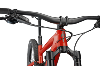 Specialized Enduro Comp - Gloss Redwood/ Smoke
