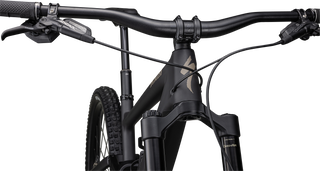 Specialized Enduro Expert - Satin Obsidian / Taupe