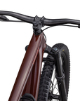Specialized Enduro Expert - Gloss Rusted Red / Redwood