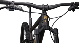 Specialized Enduro Comp - Satin Brown Tint / Harvest Gold