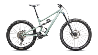 Specialized Status 2 170 - Satin White Sage / Rusted Red