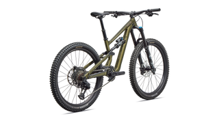 Specialized Status 2 170 ZERO - Gloss Laurel Green Metallic / Desert Rose
