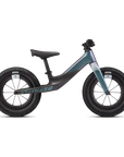 Specialized Hotwalk Carbon - Satin Carbon / Chameleon Oil Tint 50% Over Dream Silver / Black