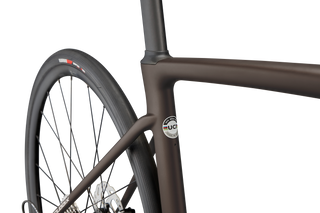 Specialized Roubaix Sport - Shimano 105 - Doppio/Sand