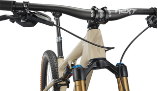 Specialized S-Works Epic EVO - Gloss Sand / Satin Red Gold Tint