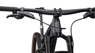 Specialized S-Works Epic EVO RS - Satin Chameleon Silver Green /White Pearl Tint/Gloss Black Chrome