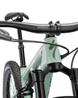 Specialized Epic EVO Comp - Gloss Ca White Sage / Sage Green