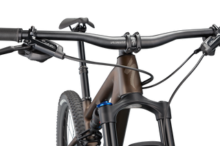 Specialized Epic EVO - Satin Doppio / Gunmetal