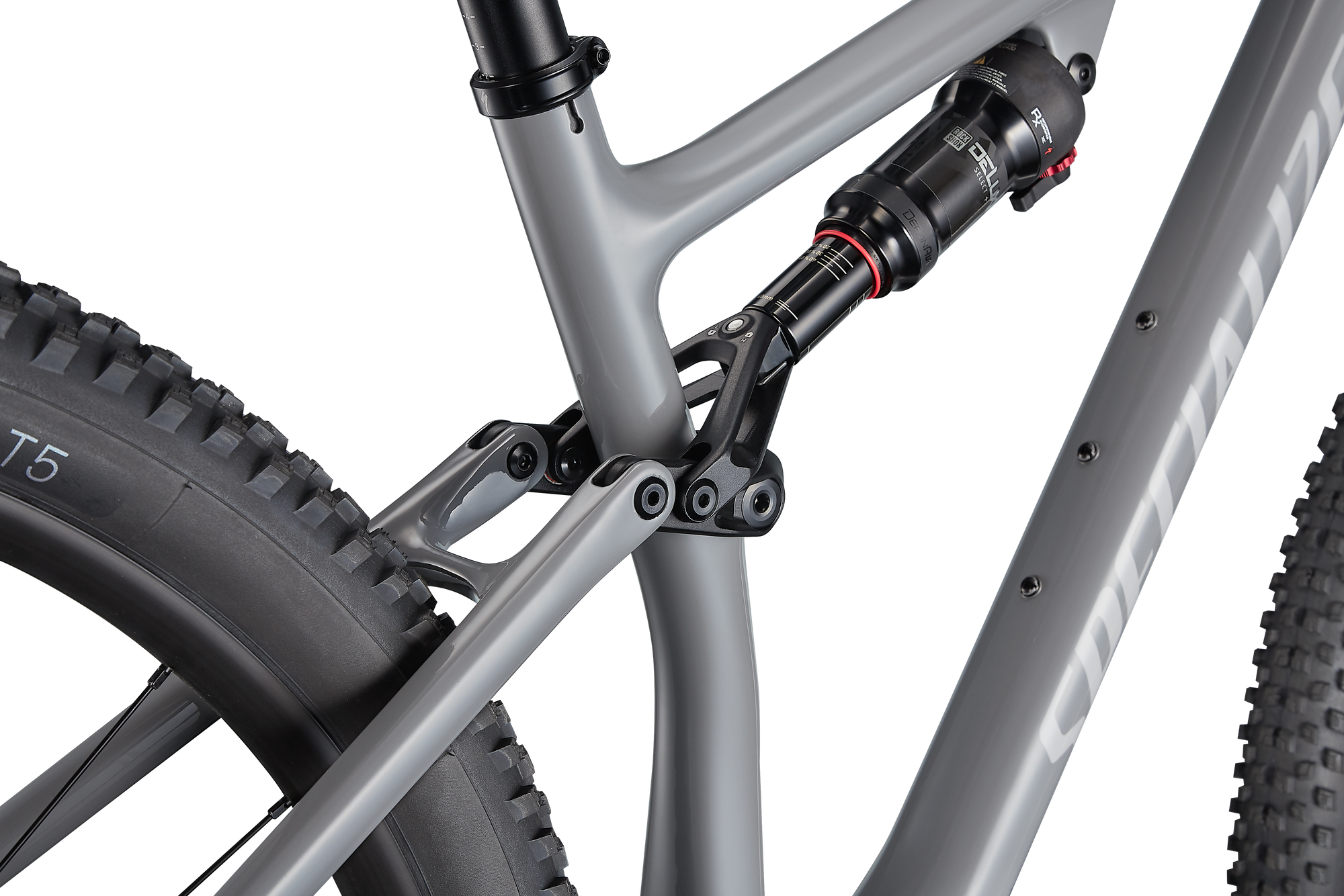 Specialized Epic EVO - Gloss Cool Grey / Dove Grey