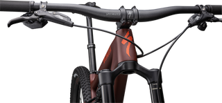 Specialized Epic EVO Expert - Satin Rusted Red/Blaze/Pearl