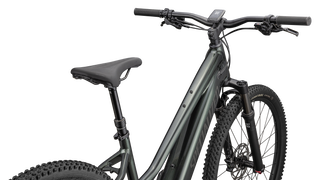 Specialized Turbo Tero 4.0 Step-Through  - Oak Green Metallic / Smoke