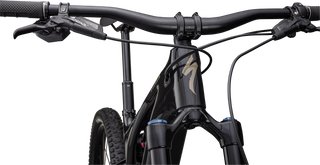 Specialized Turbo Levo 3 Expert - Gloss / Satin Obsidian / Gloss Taupe