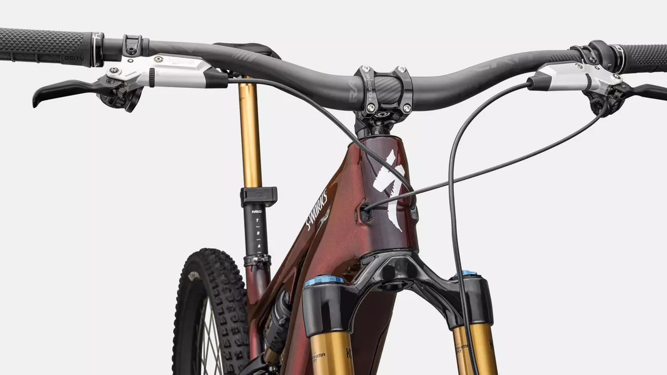 2026 S-Works Turbo Levo Gen 4