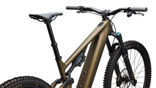 Specialized Turbo Levo 4 Expert - Satin Burnt Gold Metallic / Doppio