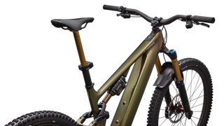 Specialized S-Works Turbo Levo 4 - Gloss Laurel Green / Burnt Gold / Chrome