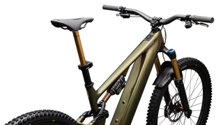 Specialized S-Works Turbo Levo 4 - Gloss Laurel Green / Burnt Gold / Chrome