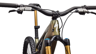 Specialized S-Works Turbo Levo 4 - Gloss Laurel Green / Burnt Gold / Chrome