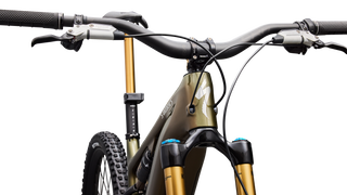 Specialized S-Works Turbo Levo 4 - Gloss Laurel Green / Burnt Gold / Chrome