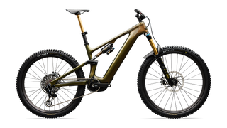 Specialized S-Works Turbo Levo 4 - Gloss Laurel Green / Burnt Gold / Chrome