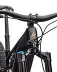 Specialized Turbo Levo R Expert - Gloss Carbon / Burnt Gold Metallic