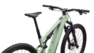 Specialized Turbo Levo R Expert - Satin Pistachio / Dark Moss Green