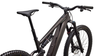 Specialized Levo 4 EVO Comp - Gloss Warm Smoke / Pistachio