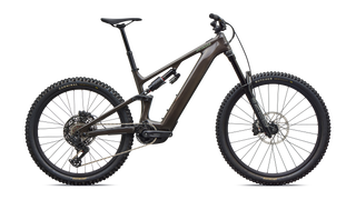 Specialized Levo 4 EVO Comp - Gloss Warm Smoke / Pistachio