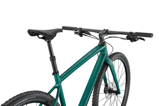 Specialized Diverge Expert E5 EVO - Satin Pine/Forest/Chrome/Clean