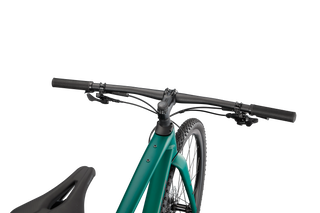 Specialized Diverge Expert E5 EVO - Satin Pine/Forest/Chrome/Clean