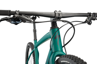 Specialized Diverge Expert E5 EVO - Satin Pine/Forest/Chrome/Clean