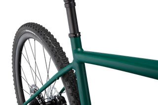 Specialized Diverge Expert E5 EVO - Satin Pine/Forest/Chrome/Clean