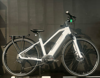 Kalkhoff  Endeavour Medium 2019