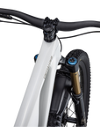 Specialized Stumpjumper EVO Pro - SRAM X01 AXS, FOX Factory - Gloss Dune White / Taupe