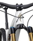 Specialized Stumpjumper EVO Pro - SRAM X01 AXS, FOX Factory - Gloss Dune White / Taupe