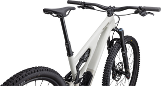 Specialized Stumpjumper EVO Expert - SRAM GX Eagle AXS, FOX Performance Elite - Gloss Birch / Taupe