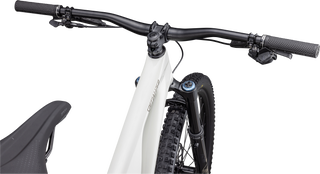 Specialized Stumpjumper EVO Expert - SRAM GX Eagle AXS, FOX Performance Elite - Gloss Birch / Taupe