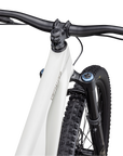 Specialized Stumpjumper EVO Expert - SRAM GX Eagle AXS, FOX Performance Elite - Gloss Birch / Taupe