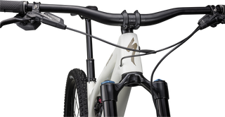 Specialized Stumpjumper EVO Expert - SRAM GX Eagle AXS, FOX Performance Elite - Gloss Birch / Taupe