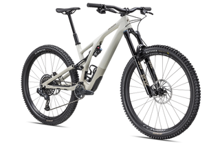 Specialized Stumpjumper EVO Expert - SRAM GX Eagle AXS, FOX Performance Elite - Gloss Birch / Taupe