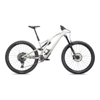 Specialized Stumpjumper EVO Expert - SRAM GX Eagle AXS, FOX Performance Elite - Gloss Birch / Taupe
