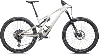 Specialized Stumpjumper EVO Expert - SRAM GX Eagle AXS, FOX Performance Elite - Gloss Birch / Taupe
