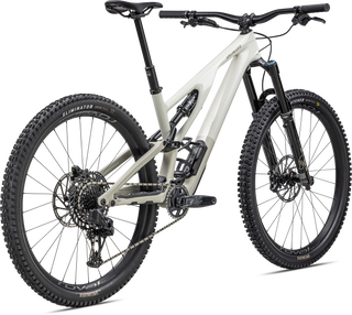 Specialized Stumpjumper EVO Expert - SRAM GX Eagle AXS, FOX Performance Elite - Gloss Birch / Taupe