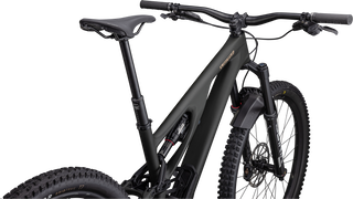 Specialized Stumpjumper EVO LTD - SRAM GX Eagle AXS, RockShox Ultimate - Satin Dark Moss Green