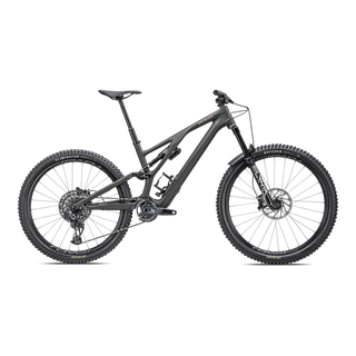 Specialized Stumpjumper EVO LTD - SRAM GX Eagle AXS, RockShox Ultimate - Satin Dark Moss Green