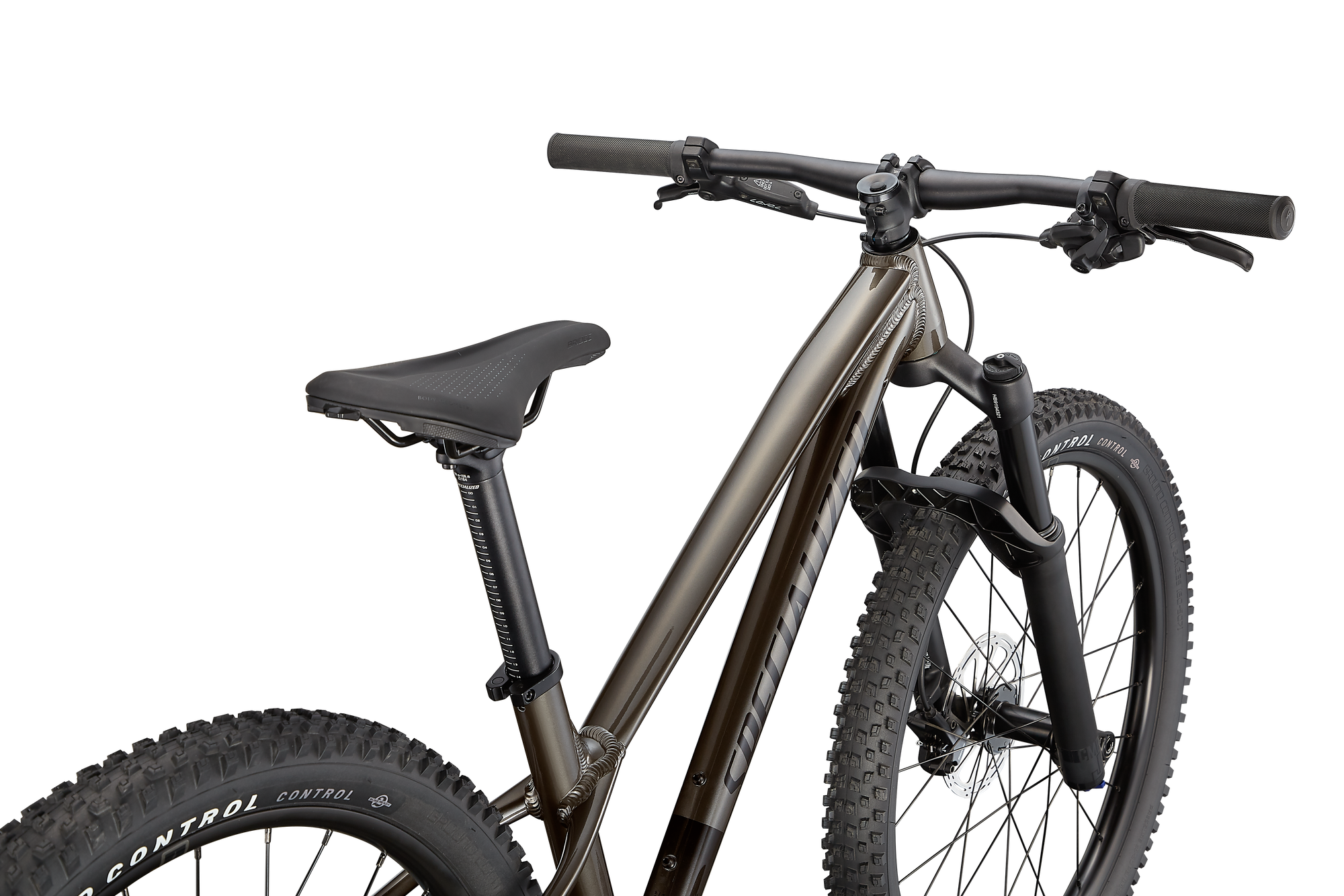 Specialized Riprock Expert 24 - Gloss Smoke / Black