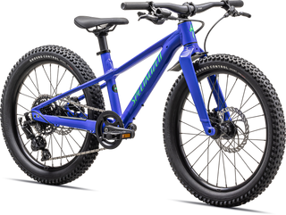Specialized Riprock 20 - Gloss Sphr Egrn